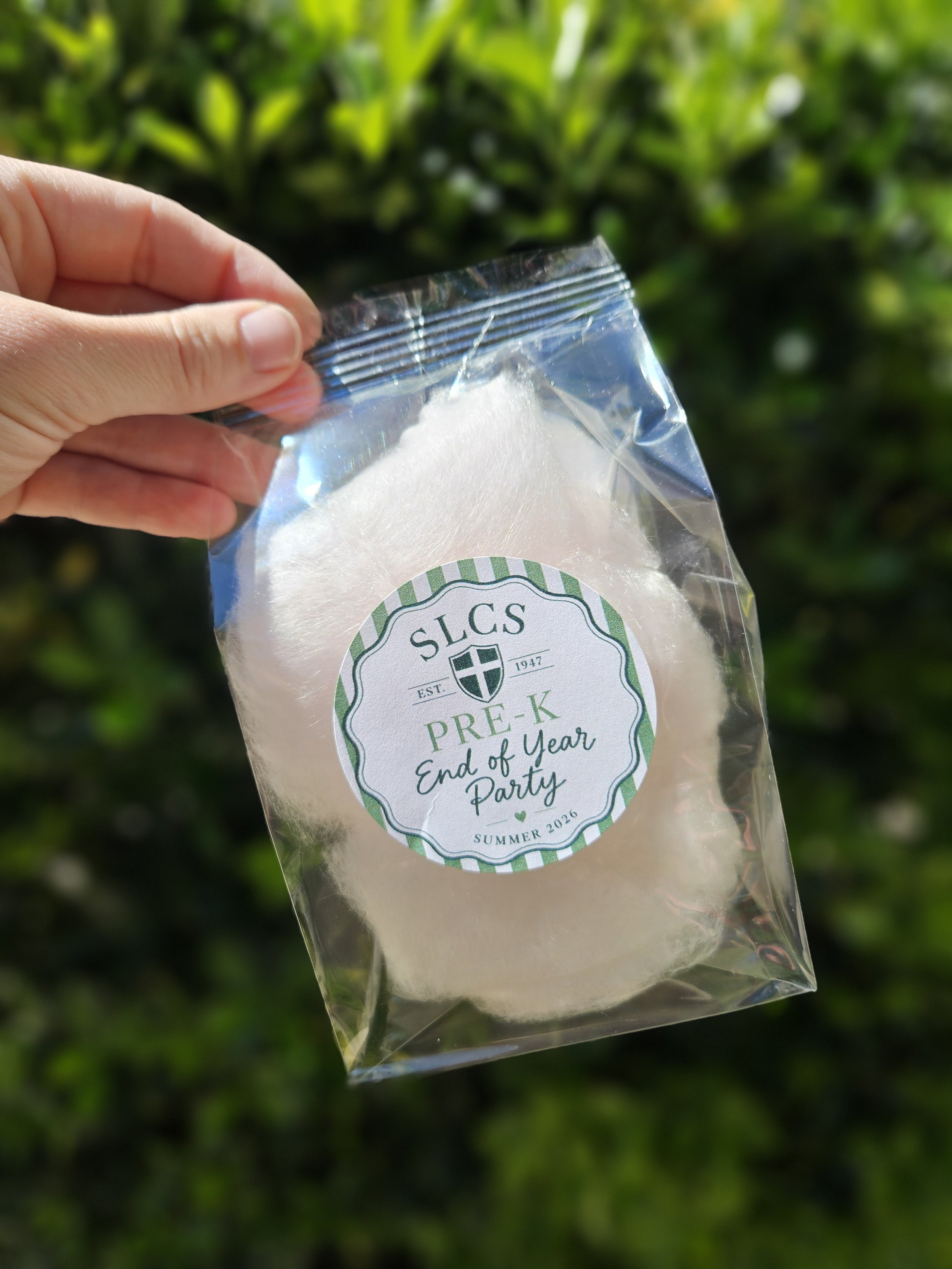 Hand holding a clear bag of organic, dye-free cotton candy with custom end of school year pre-k party sticker for a catholic school with a white cotton-like item inside, set outdoors with green foliage in the background.