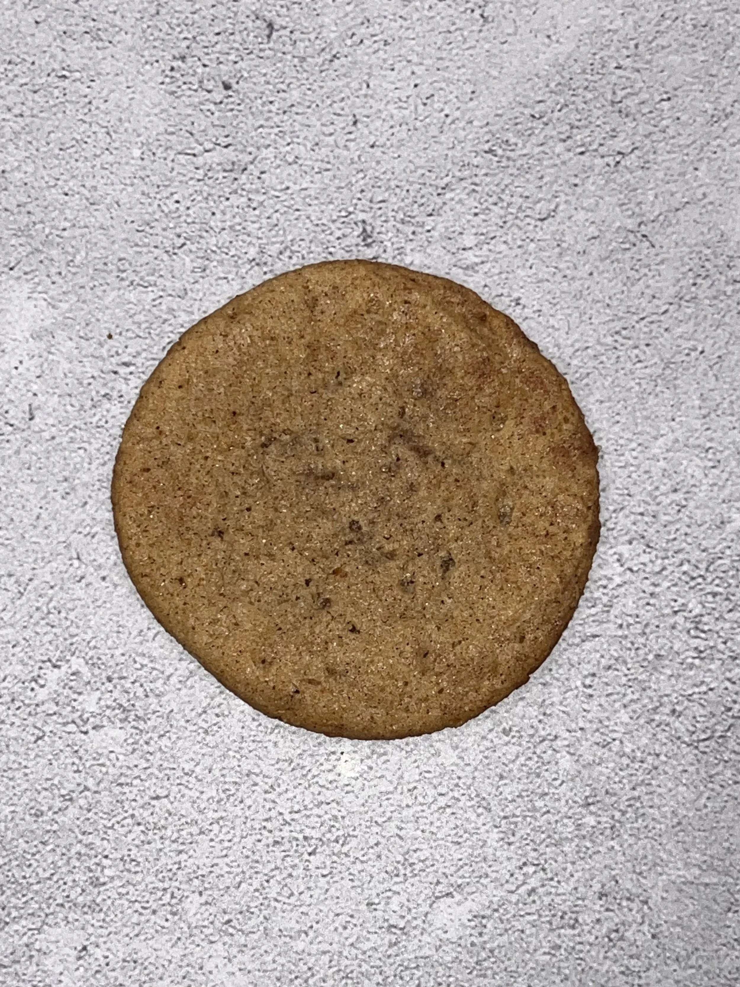 Snickerdoodle.jpg