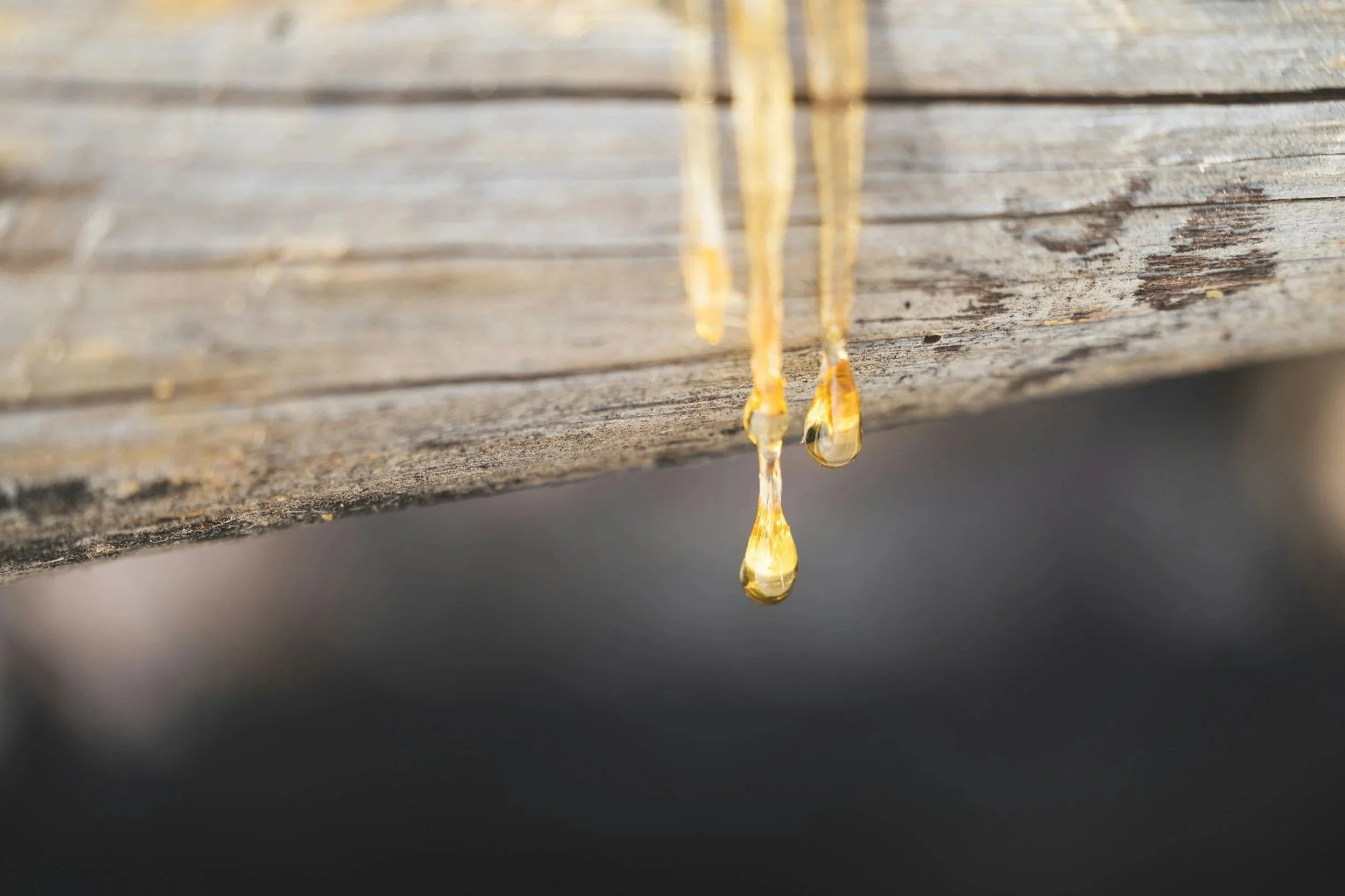 Our Frankincense Resin Extract 
