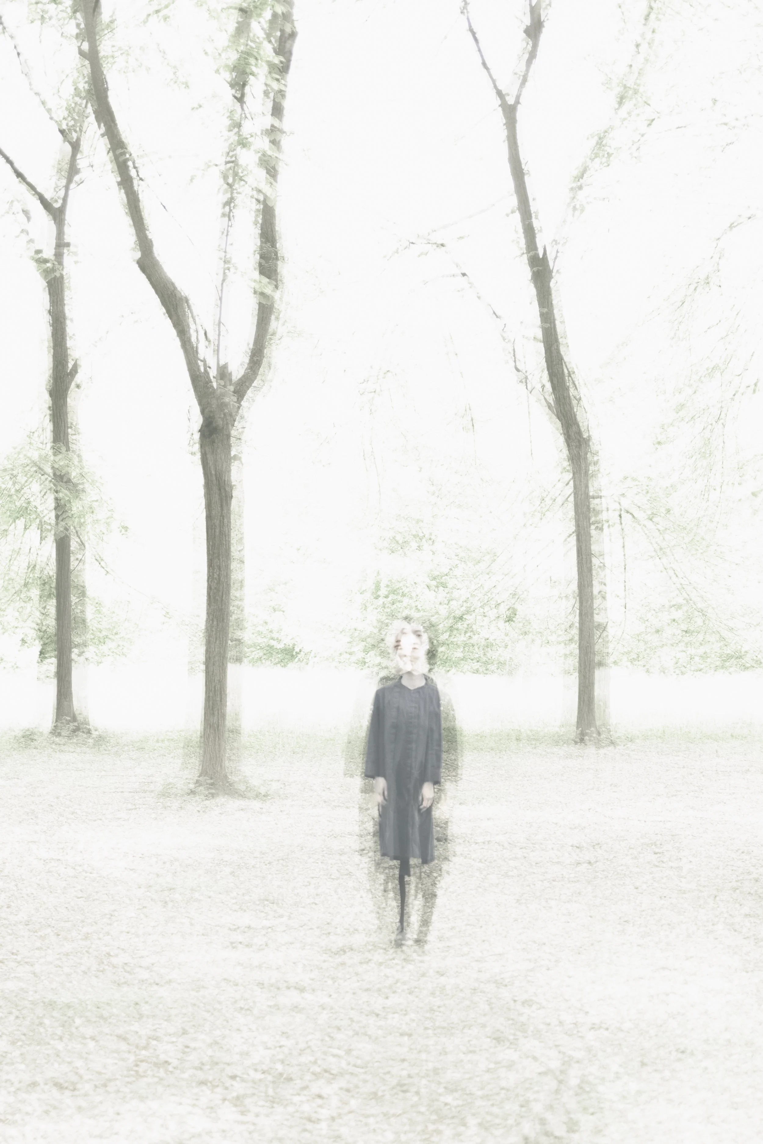 LA FORMA CHE SI ROMPE  I - Fine art prints