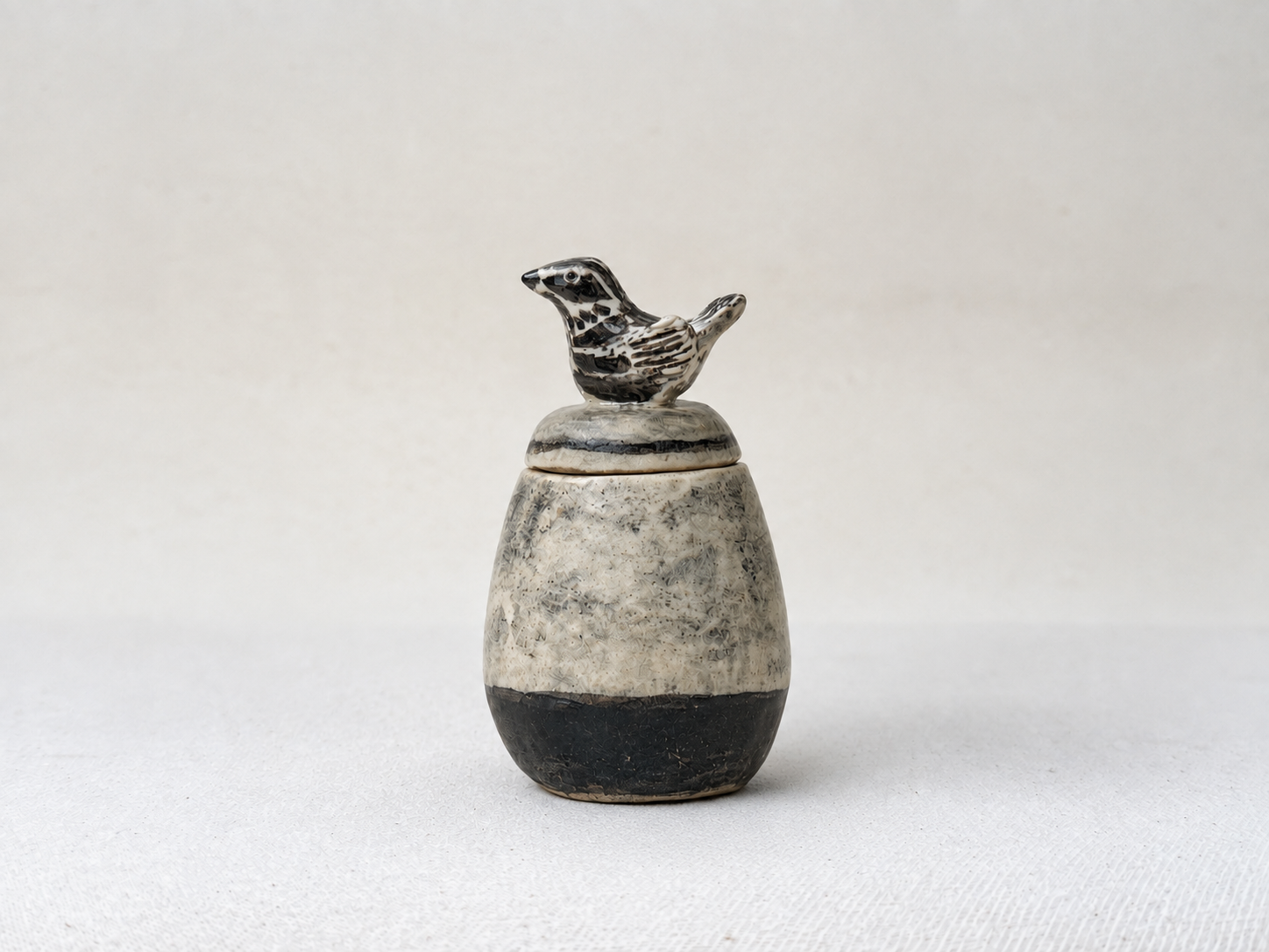 little-black-bird-main.png