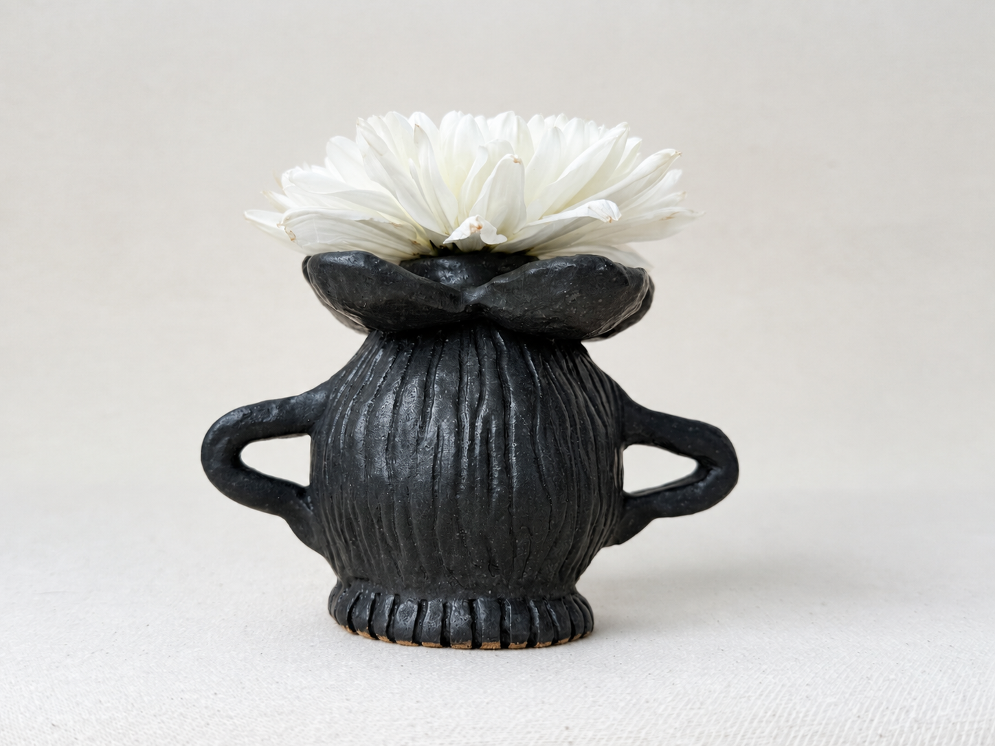 blackpetal-muse-back.png