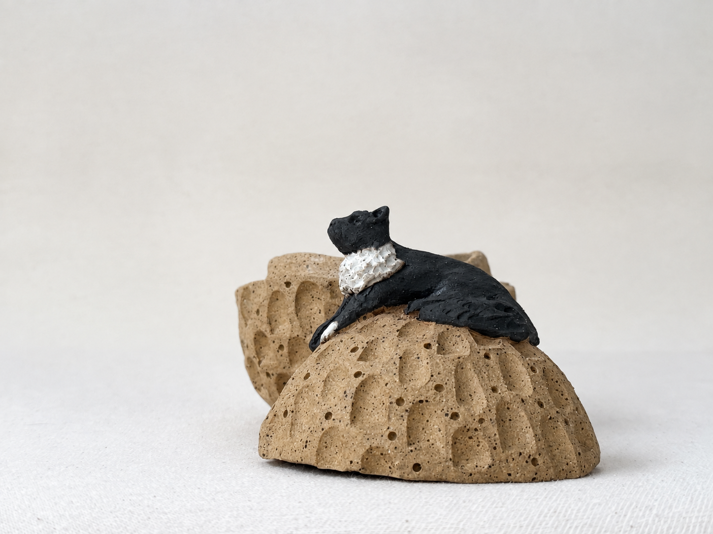rock-dog-lid-off.png