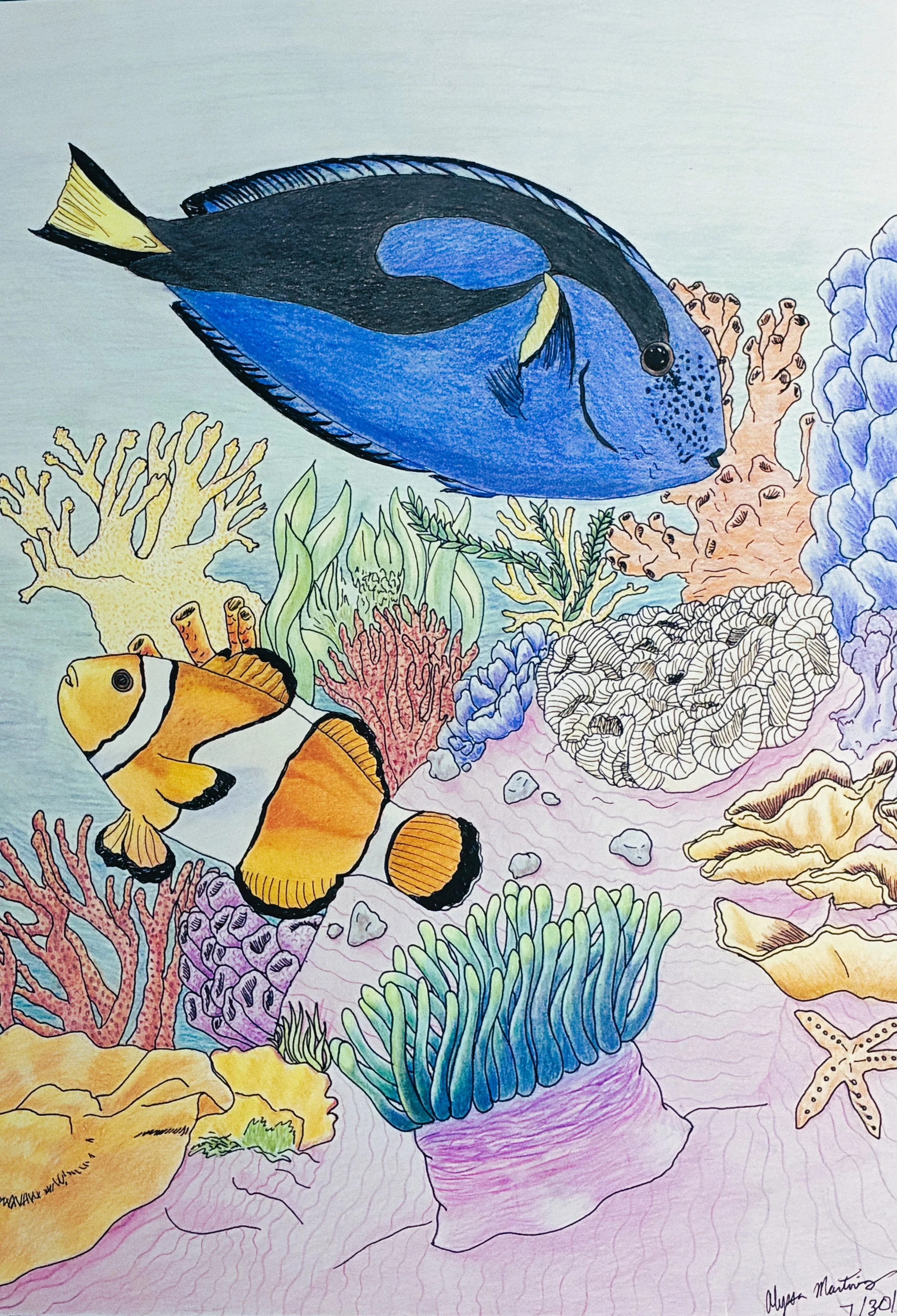 Reef- color pencil