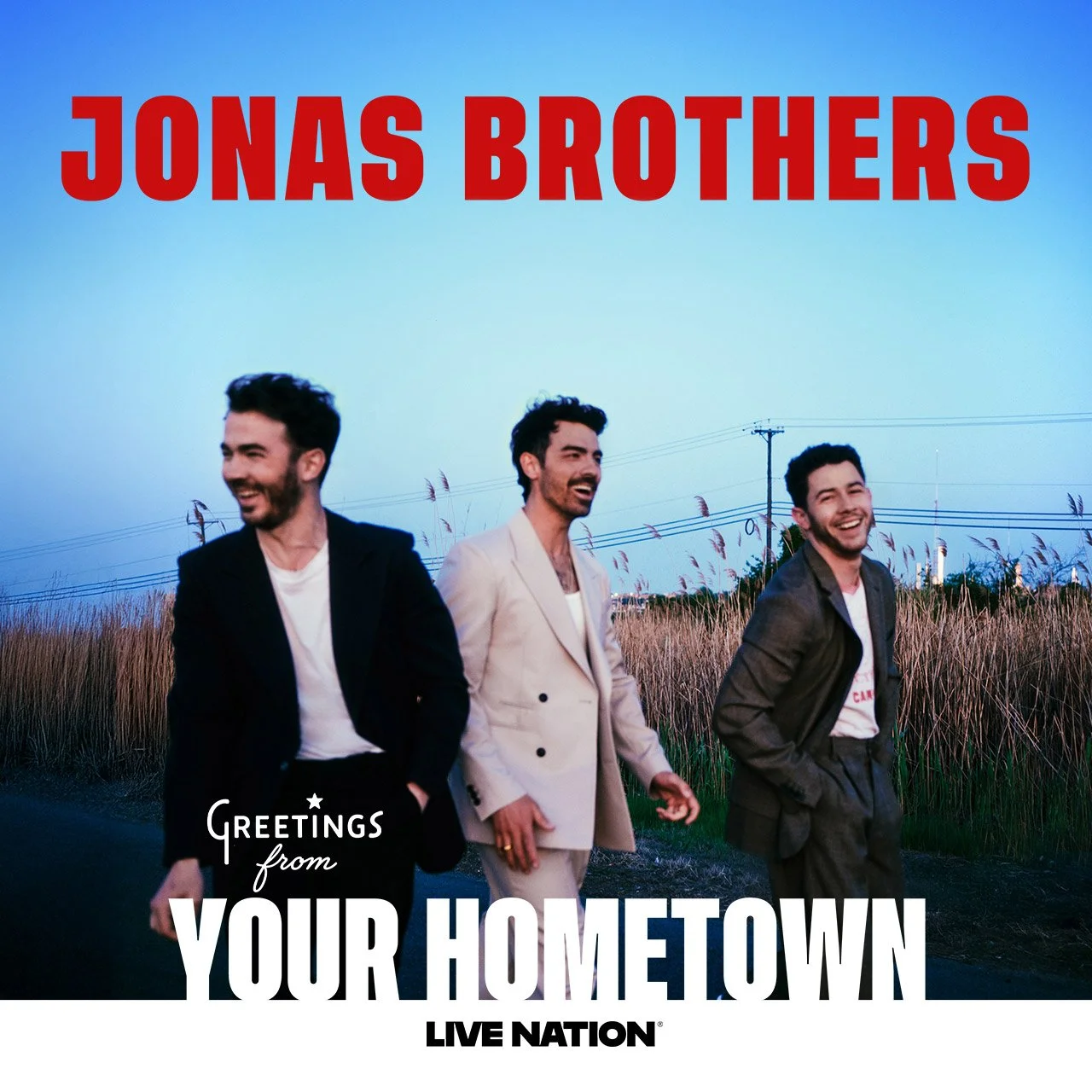 jonas brothers, “jonas20: greetings from your hometown” tour