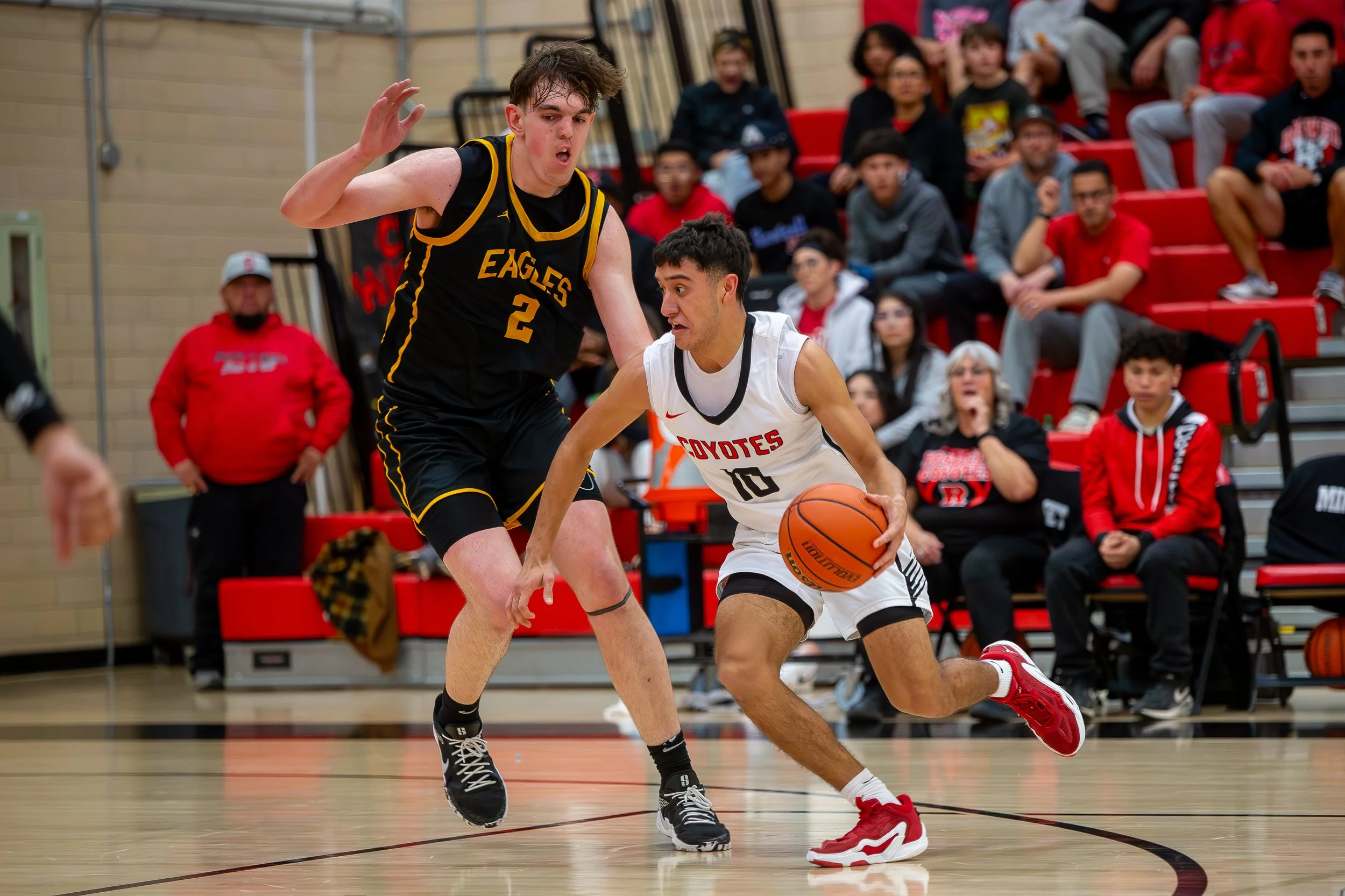 RHS_VS_HHS  PALOMINO.jpg