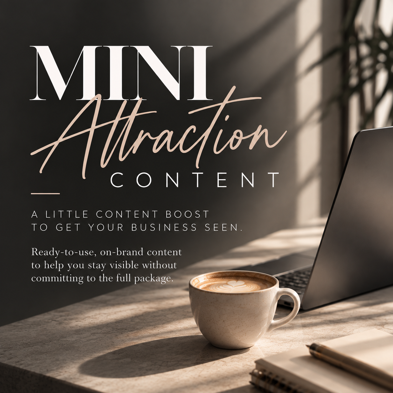 MINI ATTRACTION CONTENT