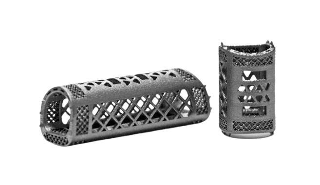 FS TI6AL4V Titanium Porous Spinal Fusion Cage