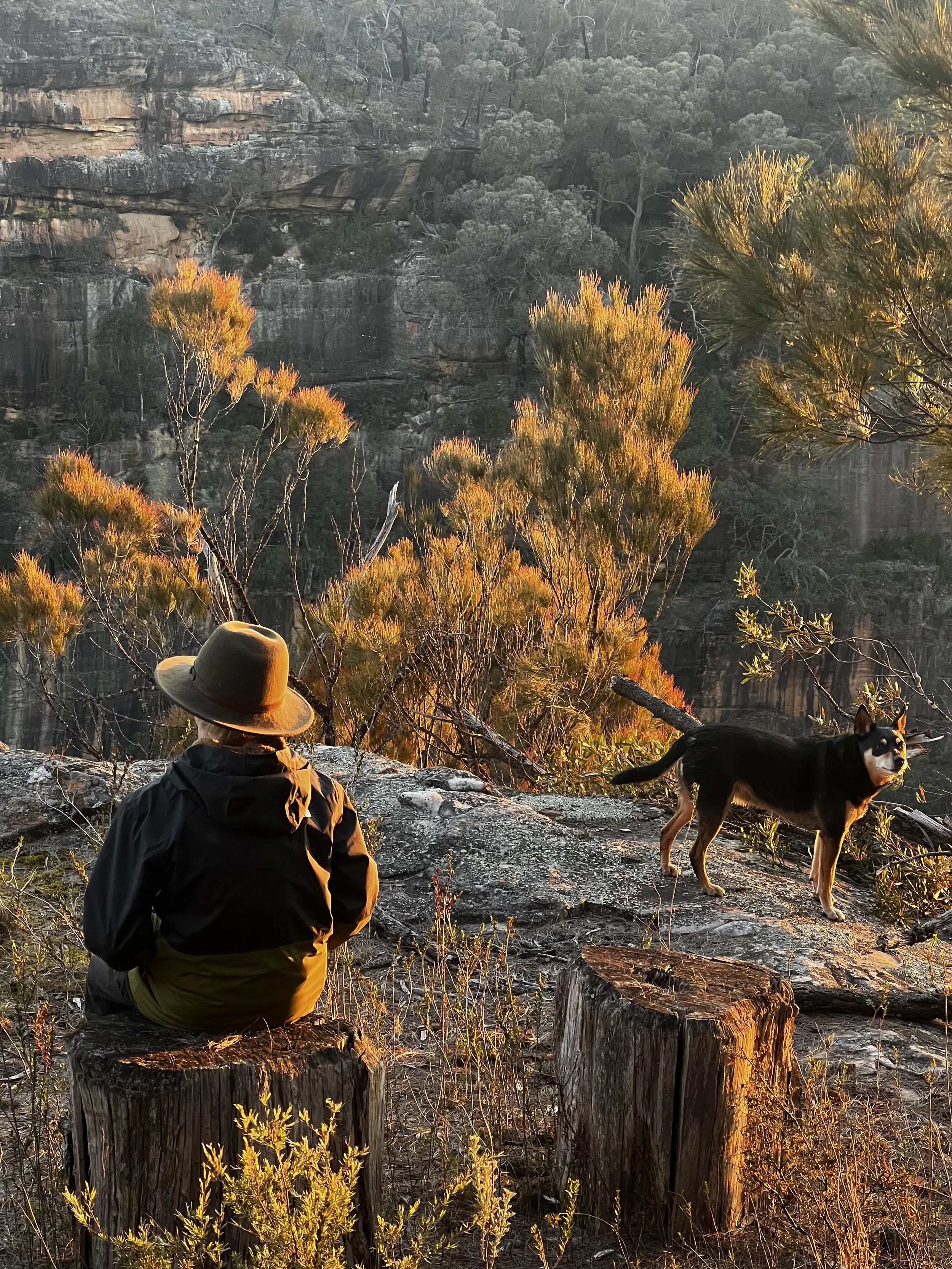 A person wearing a wide-brimmed hat and dark outdoor jacket sits on a log, back facing the camera, observing a natural pond or lake surrounded by trees and rocky terrain during sunset. A black and tan dog stands nearby looking to the side. The scene is illuminated by warm, golden sunlight.