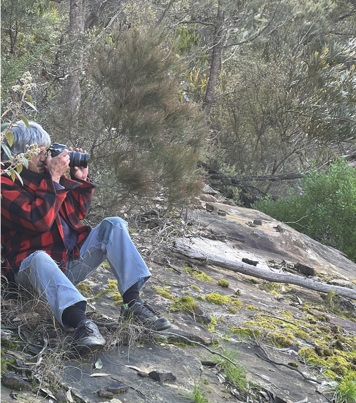 An elderly person sitting on a rocky, mossy slope and taking a photograph with a camera, surrounded by trees and bushes.