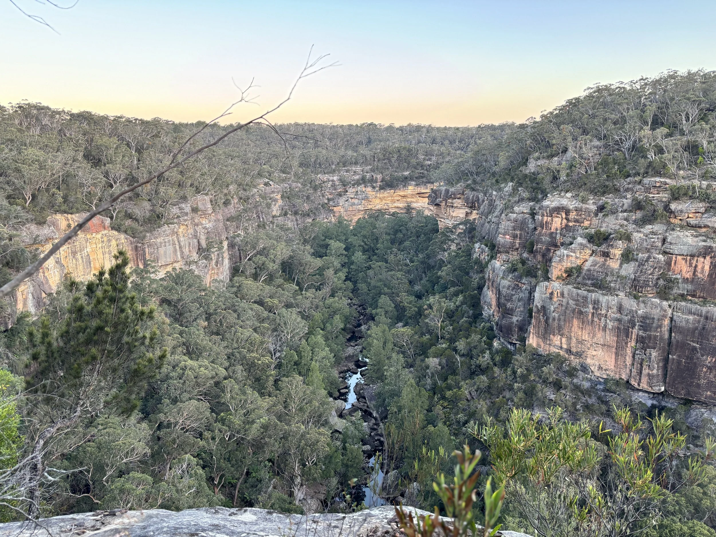 A deep forested canyon with cliffs on either side and a river running through the bottom.