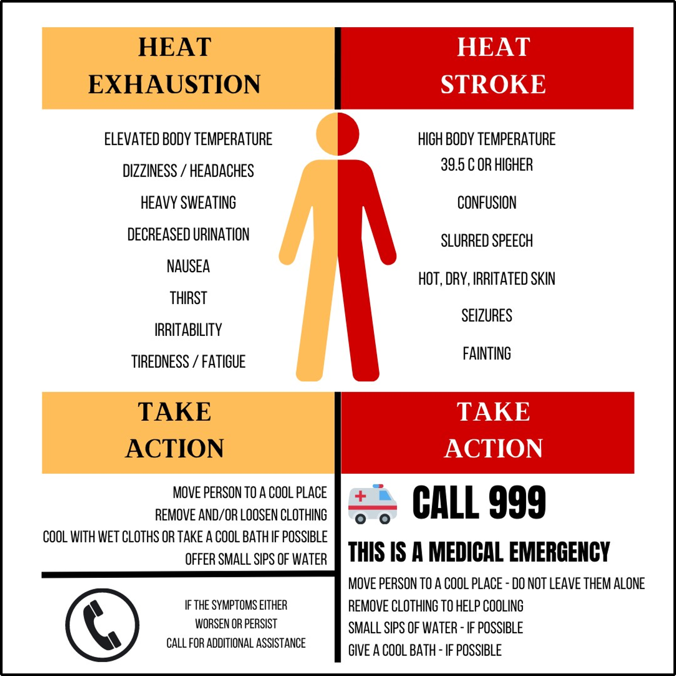 A medical infographic comparing heat exhaustion and heat stroke. It lists symptoms such as elevated body temperature, dizziness, heavy sweating, decreased urination, nausea, thirst, irritability, and fatigue for heat exhaustion, and high body temperature, confusion, slurred speech, hot dry skin, seizures, and fainting for heat stroke. The infographic advises action for heat exhaustion to move to a cool place, remove or loosen clothing, cool with wet cloths or a bath, and offer water. For heat stroke, it instructs to call 911, move the person to a cool place, remove clothing, offer water, give a cool bath if possible, and seek medical help.