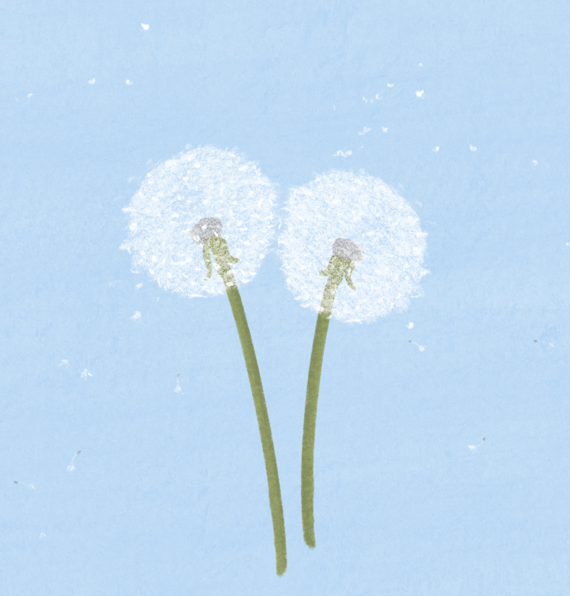 Illustration of two dandelions in bloom against a light blue background with fluff flying around them