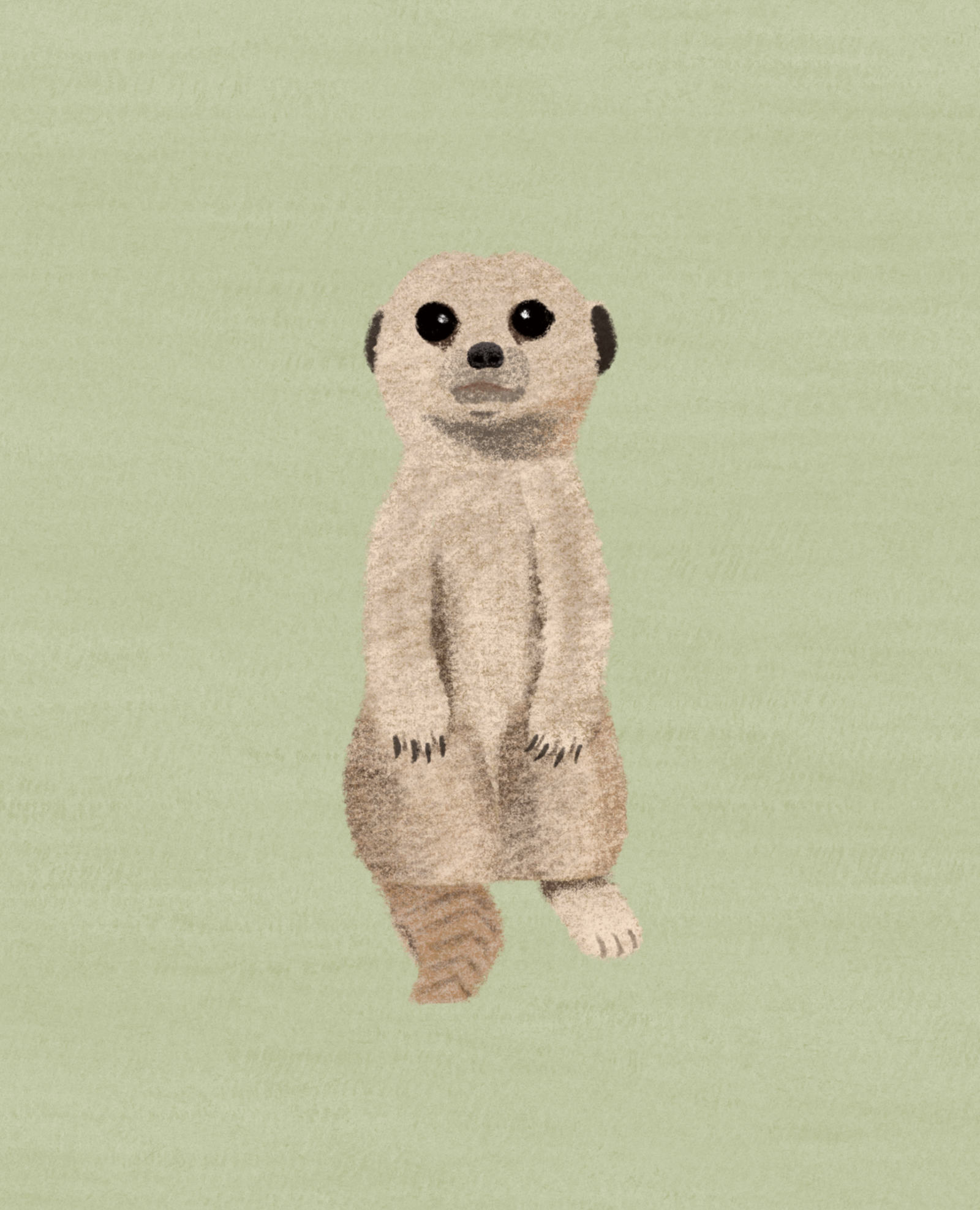 Illustration of a meerkat against a light green background