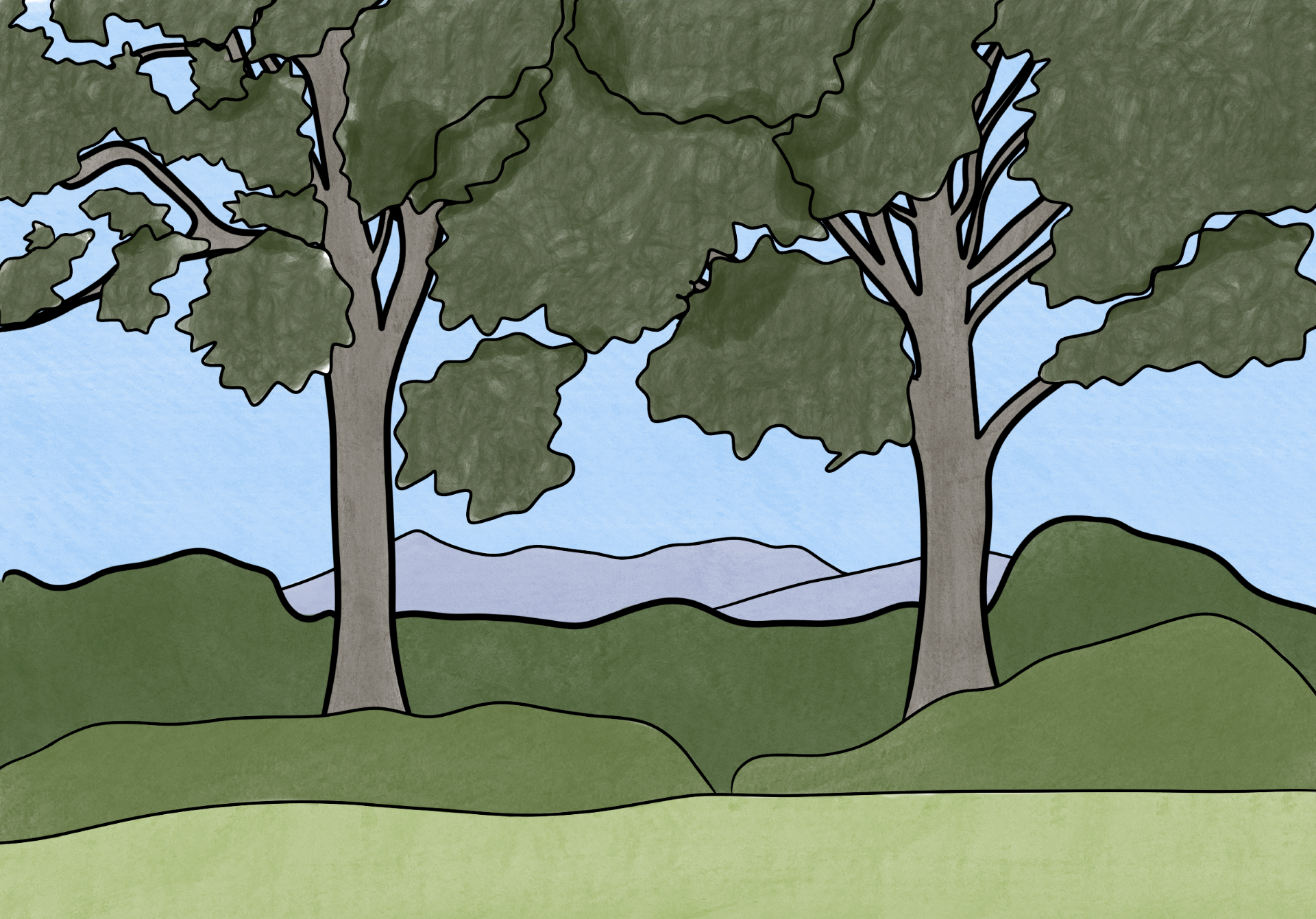 Illustration of trees and bushes