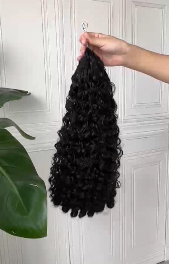Burmese Curly Half Bundle Option