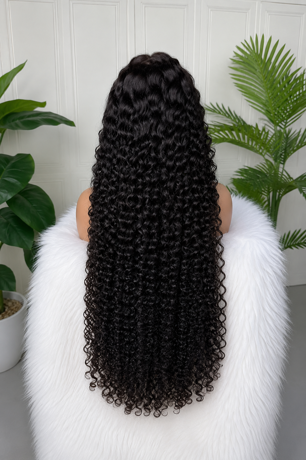 Burmese curly.....png