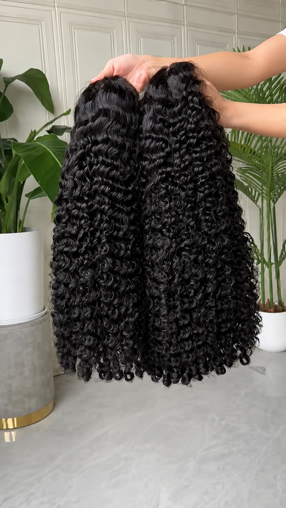 Short burmese curly.png