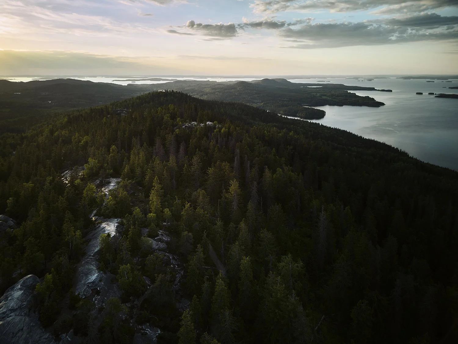 Maisemavalokuva Kolilta. Valokuvaaja WIlle Nyyssösen Koli
