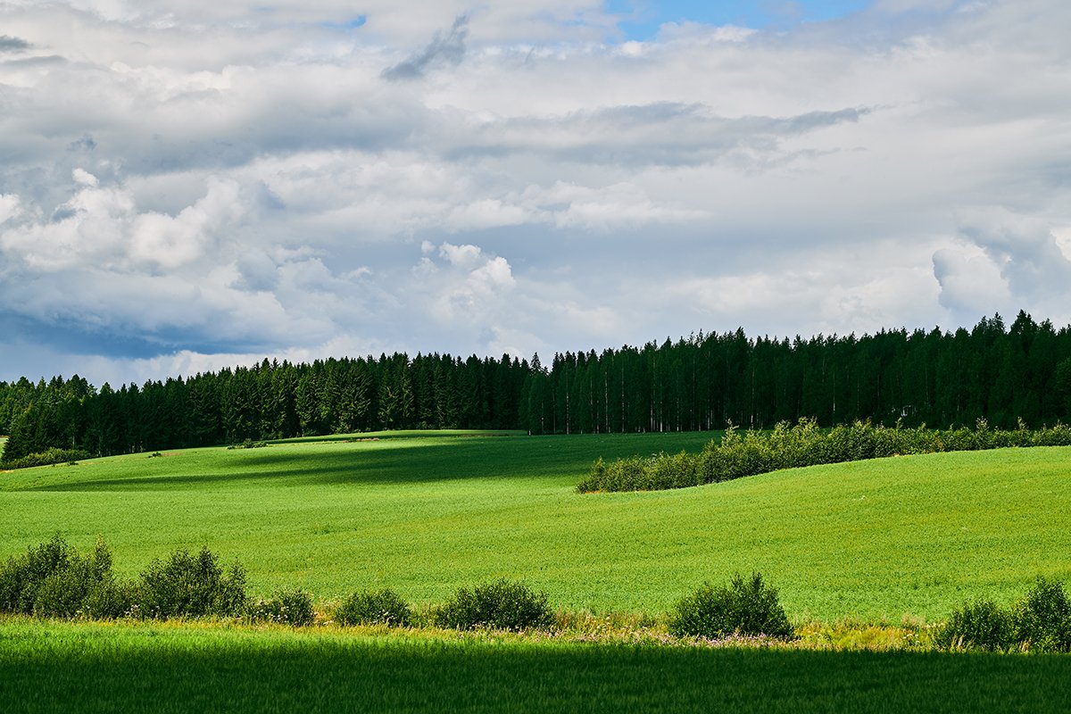Valokuvia Viljakkalasta. Peltomaisema Viljakkalassa