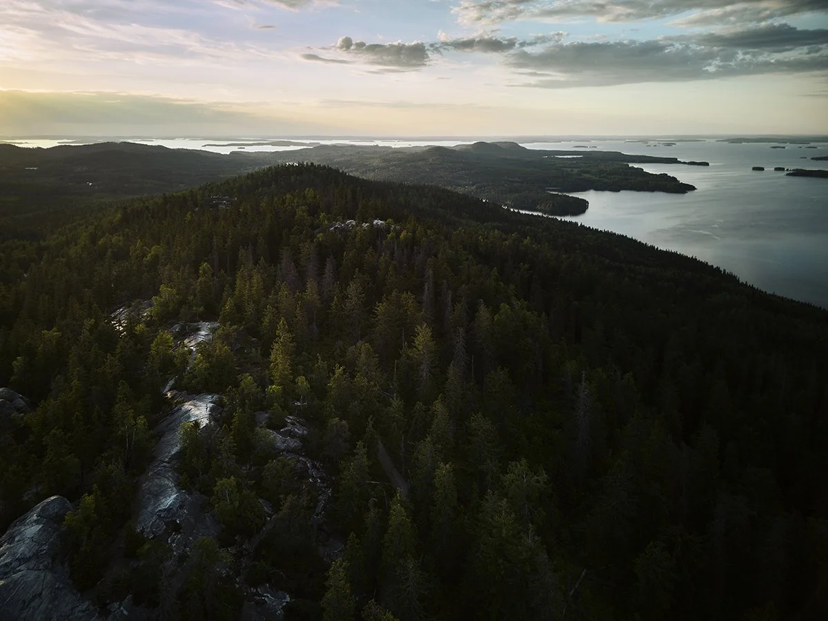Maisemia Kolilta - Suomalaista taidetta