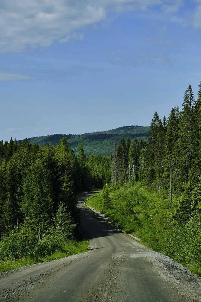 Dirt road winding through a lush green forest with tall trees and distant hills under a blue sky with scattered clouds.