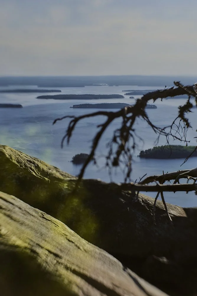 View of a large body of water with multiple islands, taken from a high vantage point with tree branches and rocks in the foreground.