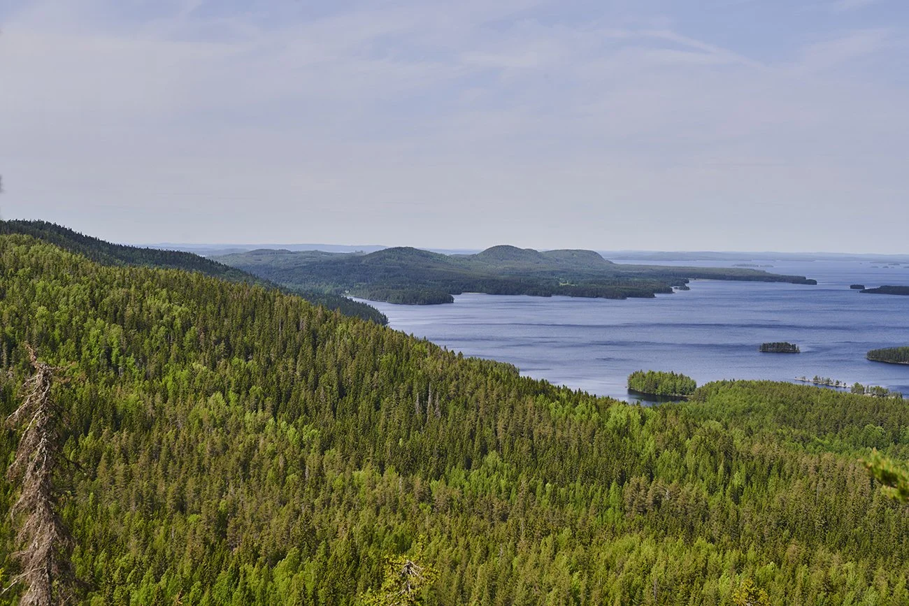 Maisema Mäkrävaaralta Kolille