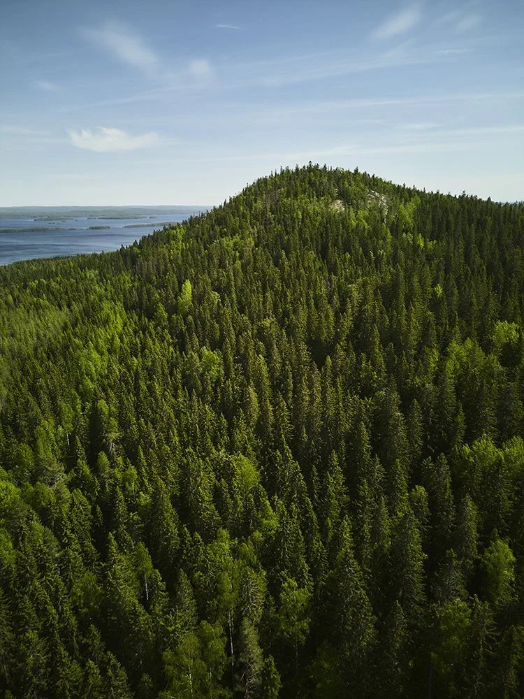 Valokuva Mäkrävaarasta
