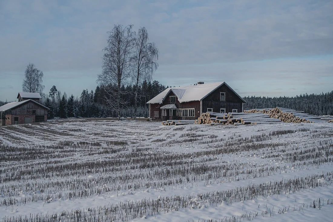 Valokuvia Kolhosta. Maatila Kolhossa