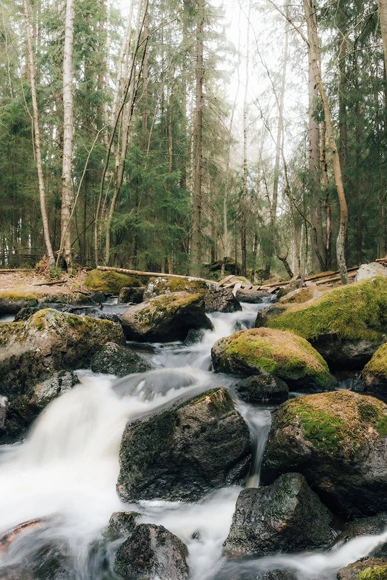 Valokuvia Nokialta. Laajaoja Nokian Alhoniityssä