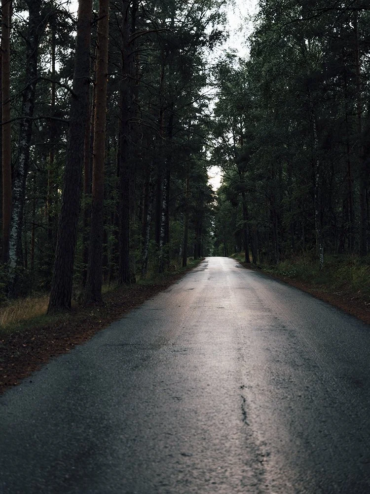Vehoniemenharju. Valokuvia Kangasalta