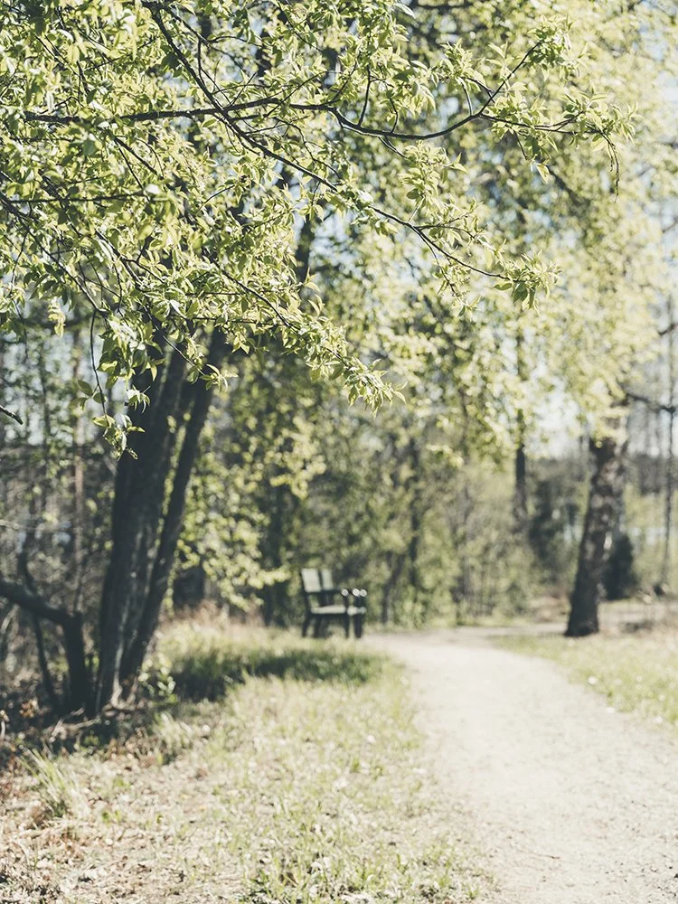 Valokuvia Ruovedeltä