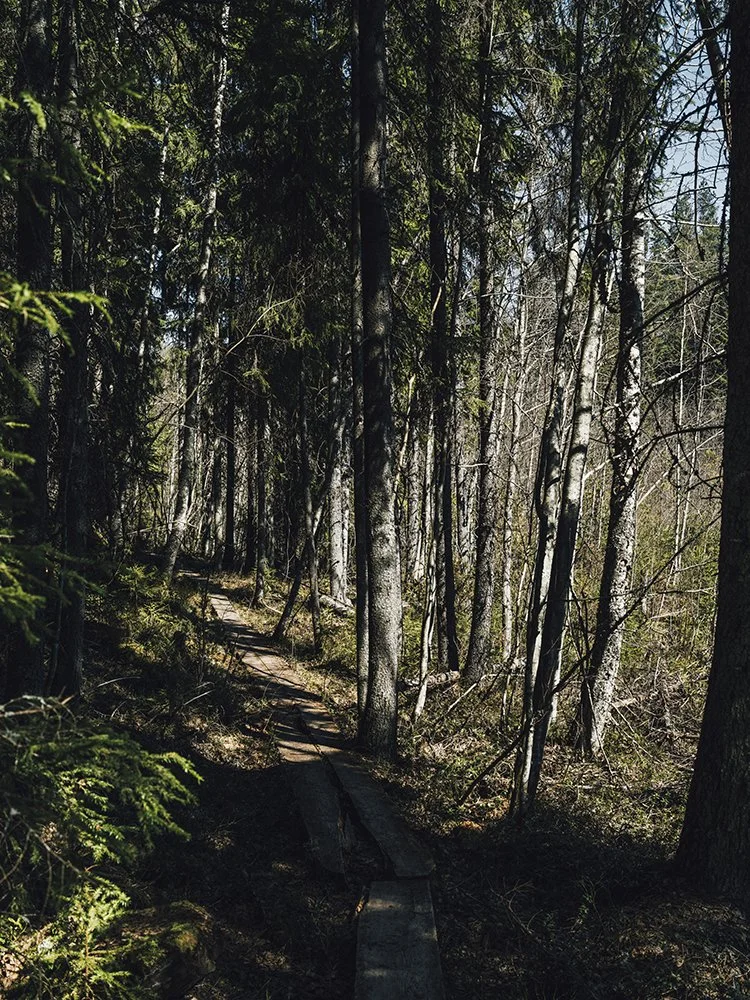 Ryövärinkuoppa. Valokuvia Ryövärinkuopalta Ruovedeltä.