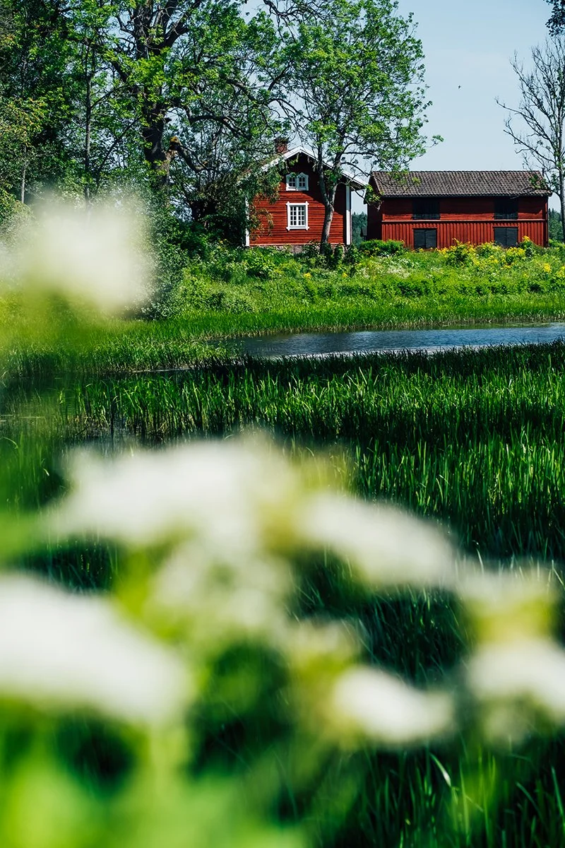 Kuvassa on kaksi punaista taloa, jotka sijaitsevat vihreässä maisemassa puita ja kasvillisuutta ympärillään, ja taustalla sininen taivas, veden lähellä on ruohoa ja kasveja.