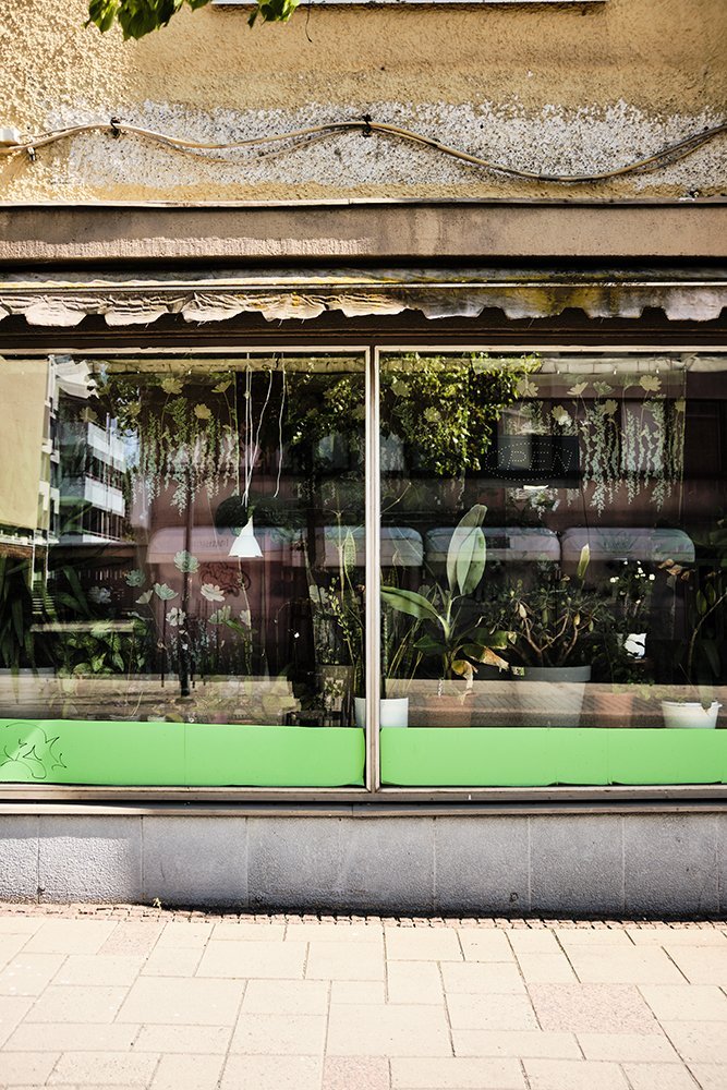 Storefront window with green and black design at the bottom, reflecting plants and city buildings outside.