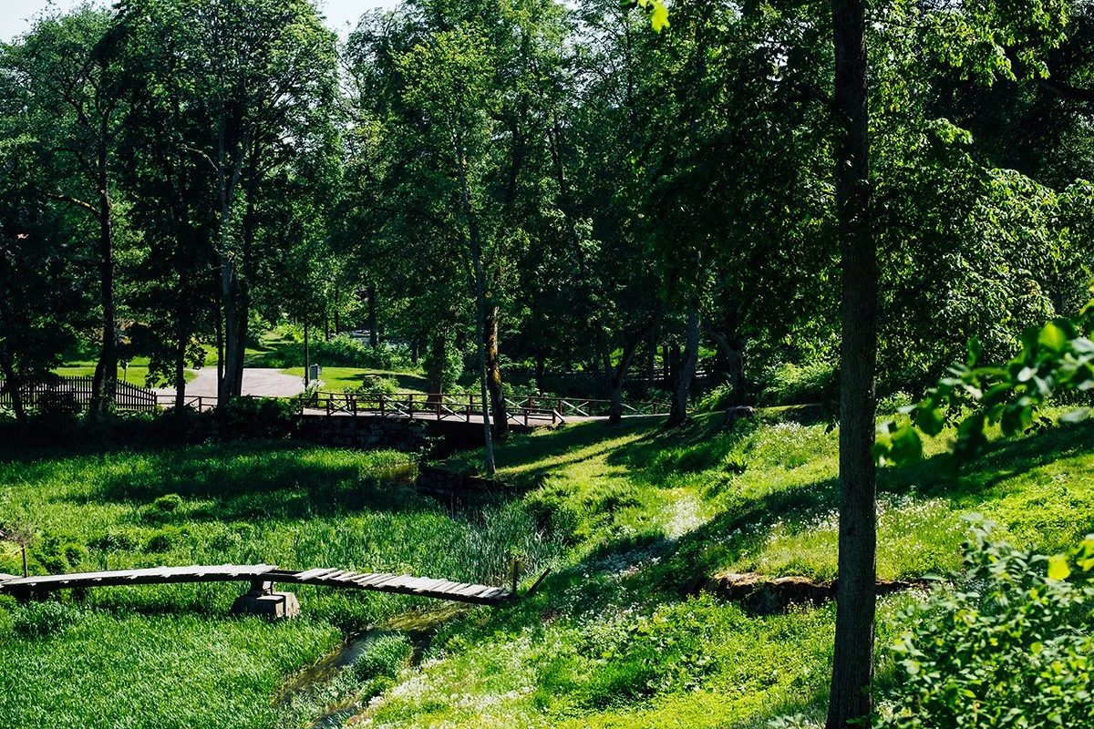 Vihreitä puita ja nurmikkoa puiston keskellä, silta pieniä polkuja ympärillä.