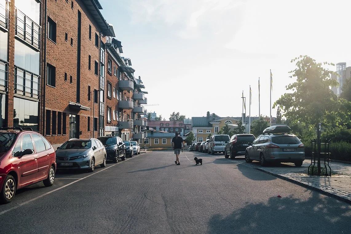 hundrastare i Luleå stad