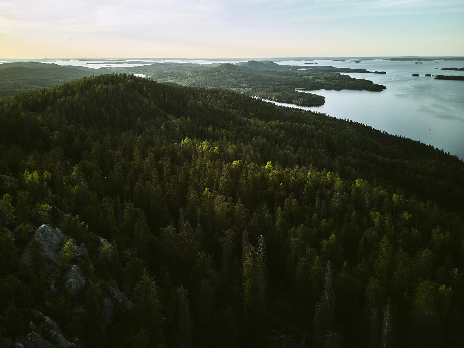 Netti_ DJI_0344.jpg