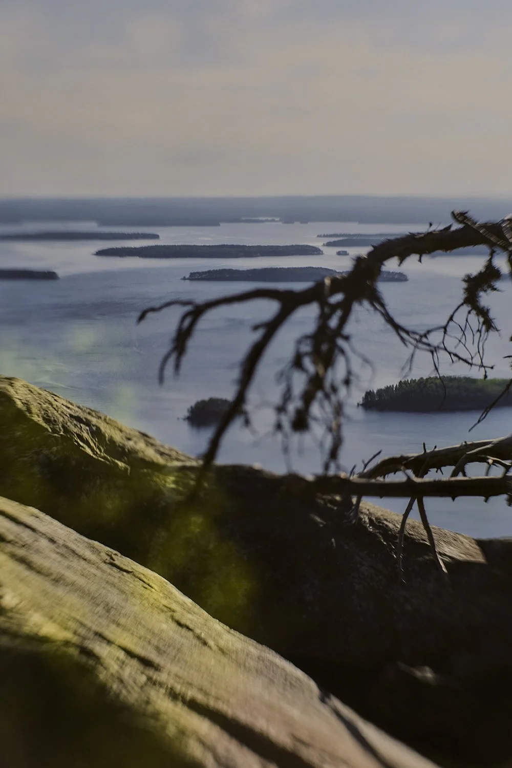 Maisemakuvia Kolilta. Wille Nyyssönen Suomea valokuvaamassa.