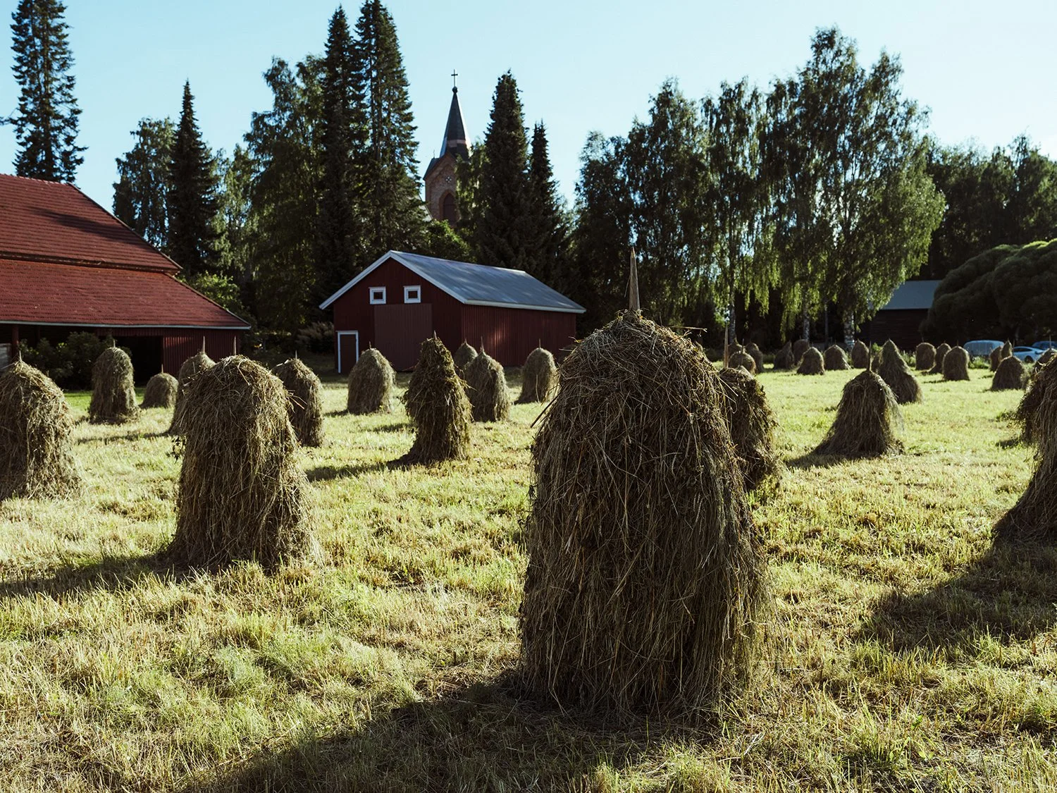 Heinäseipäitä Hauholla. Kesäisiä valokuvia Suomesta.