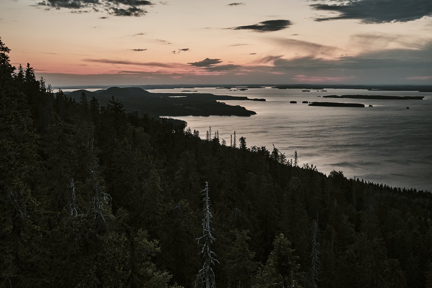 Wille Nyyssösen Koli. Maisemakuvia Kolilta