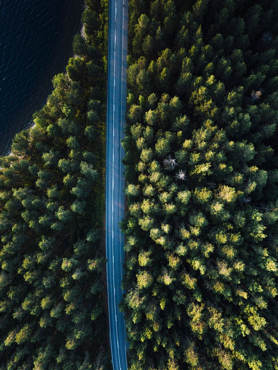 Valokuvia Pulkkilanharjulta