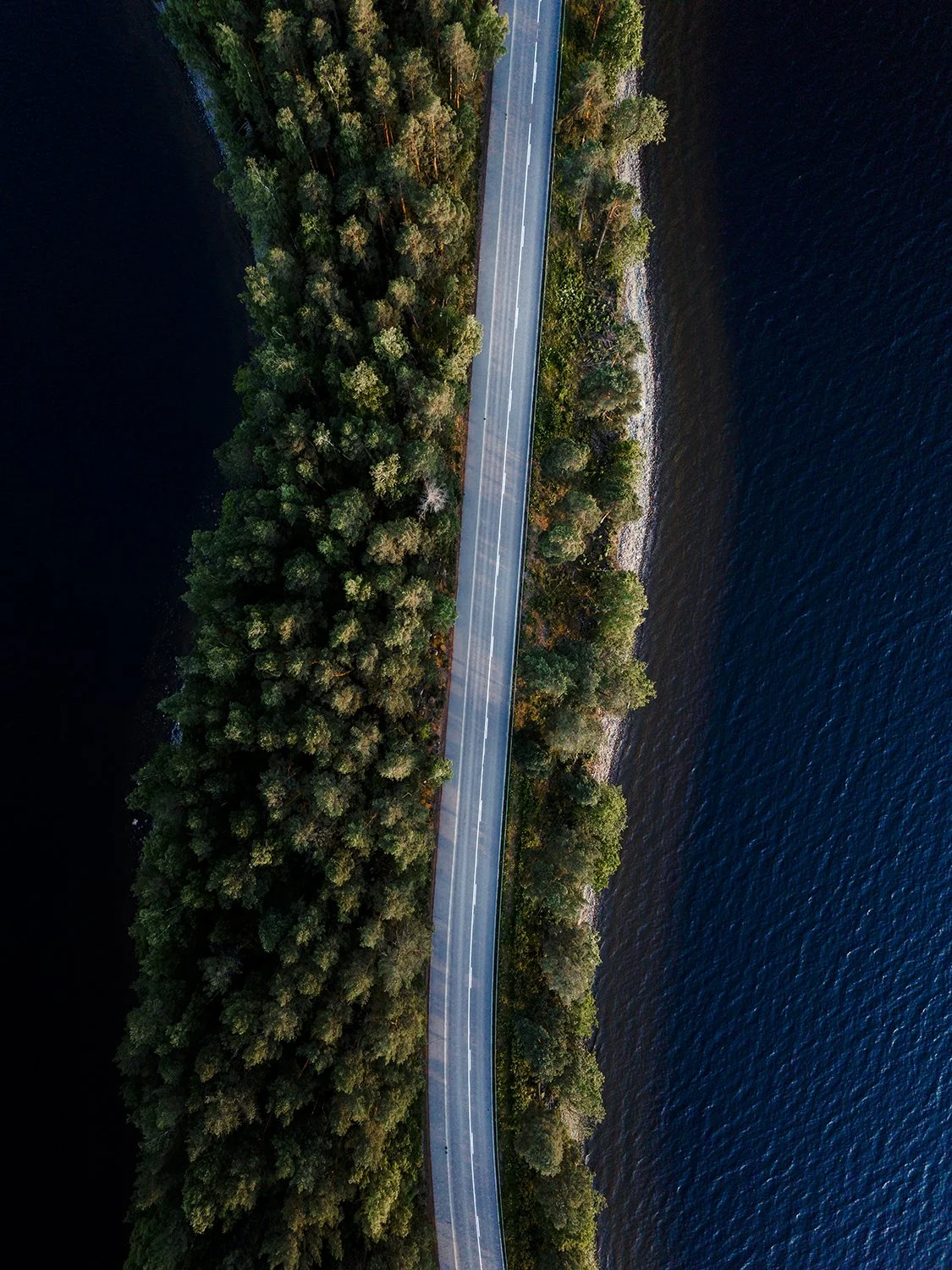 Pulkkilanharjun tie. Valokuvia päijänteen luonnonsuojelualueesta