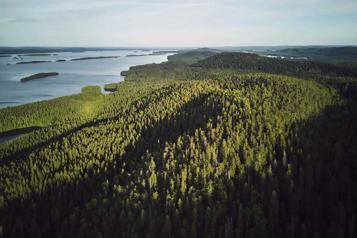Dronekuva Kolilta. Maisemakuvia Pohjois-Karjalasta