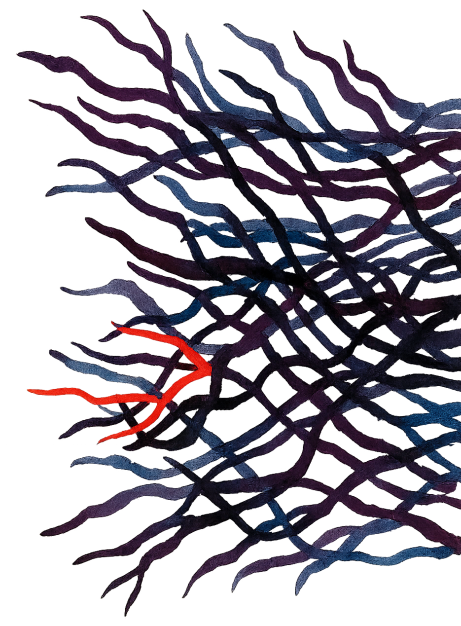 Abstract digital art featuring intertwining, wavy lines in shades of purple, blue, and red against a black background.