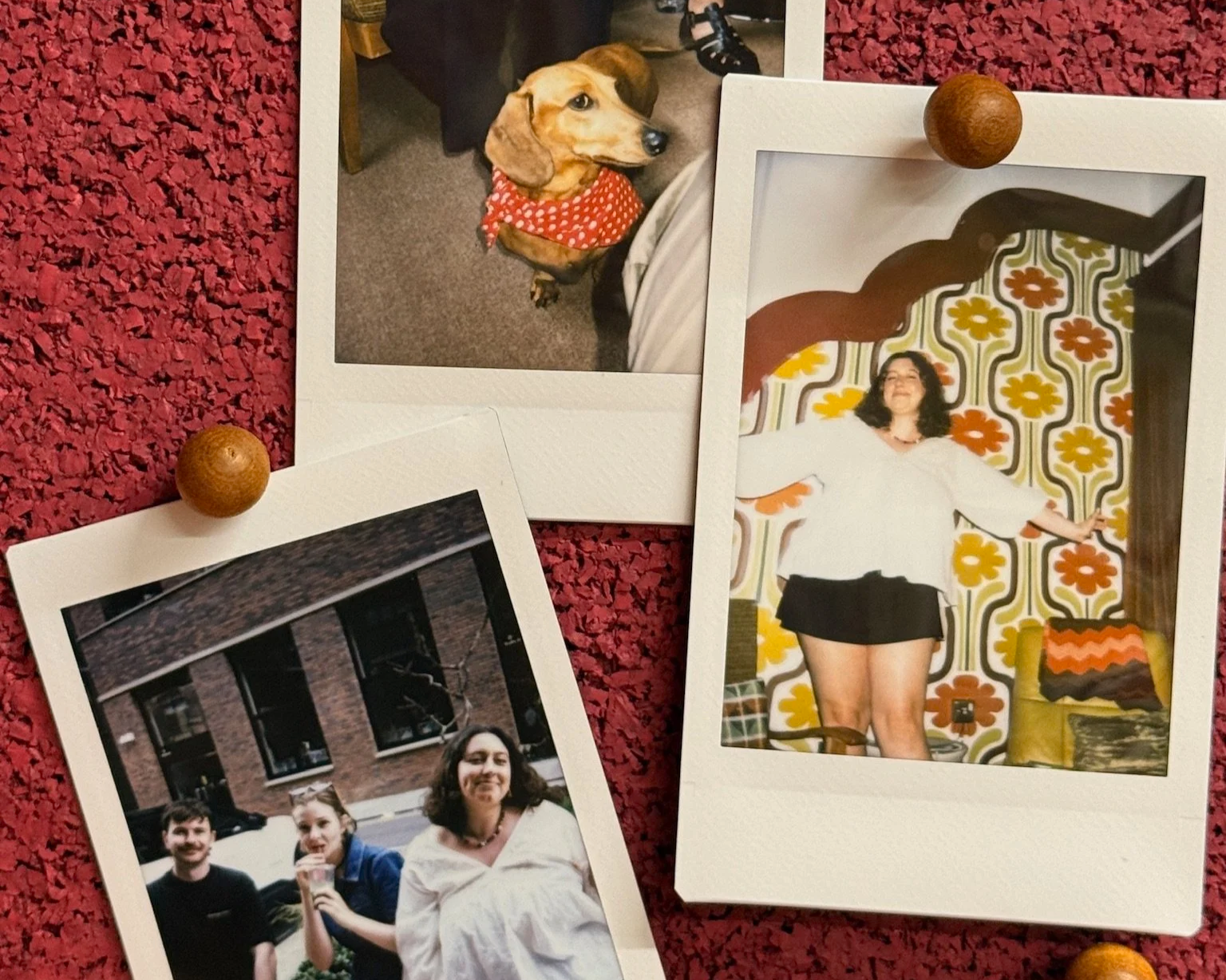 Three Polaroid photos pinned to a red textured surface with wooden pins. The first photo shows a woman with curly hair sitting outside in front of a brick building. The second photo features a woman with curly hair smiling and posing in a bedroom with retro-patterned wallpaper; she is wearing a white top and a black skirt with her arms outstretched. The third photo shows a doberman dog wearing a red polka-dotted bandana, standing on a gray carpeted floor beside a person sitting on a chair.