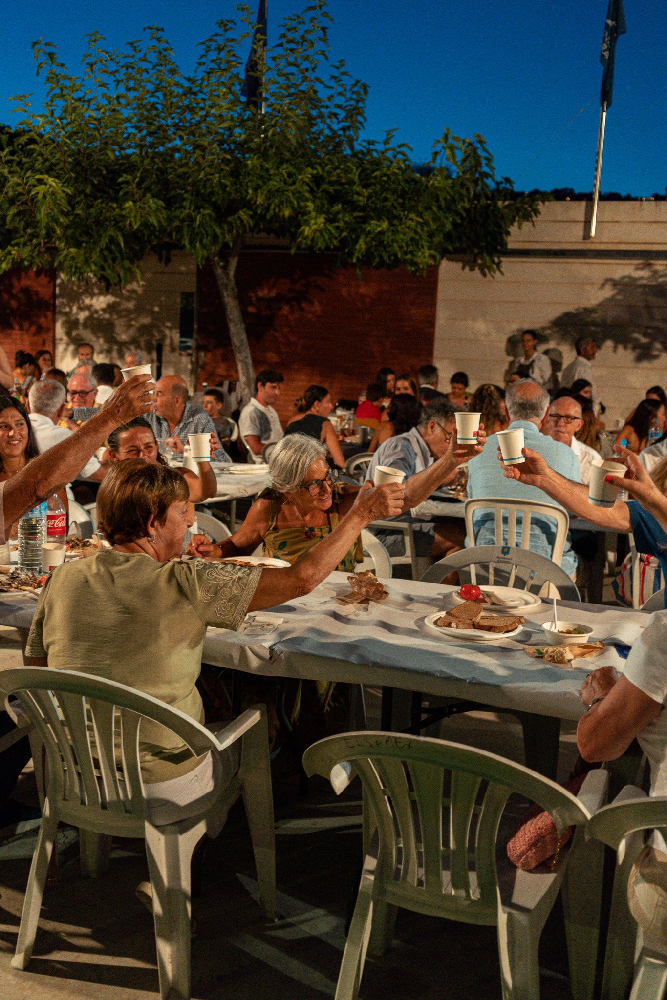 Personas en una reunión al aire libre levantando vasos en un brindis al atardecer, con mesas llenas de comida