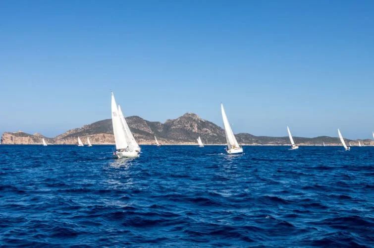 Varios veleros navegando en el mar cerca de una isla con colinas.