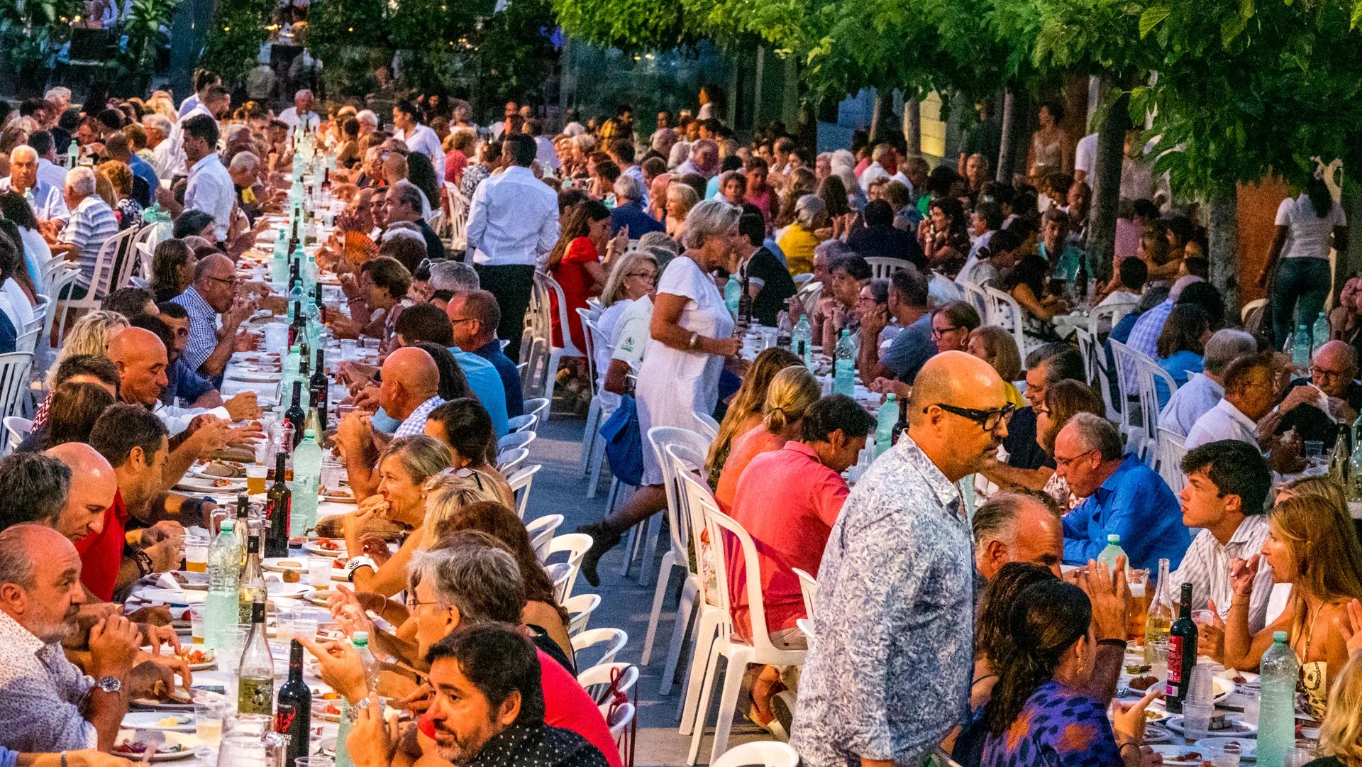 Un grupo grande de personas sentadas en una larga mesa celebrando una reunión al aire libre por la noche, con árboles alrededor y luces.